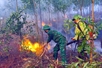 Thua Thien Hue’s commune conducts exercise on forest fire prevention and fighting